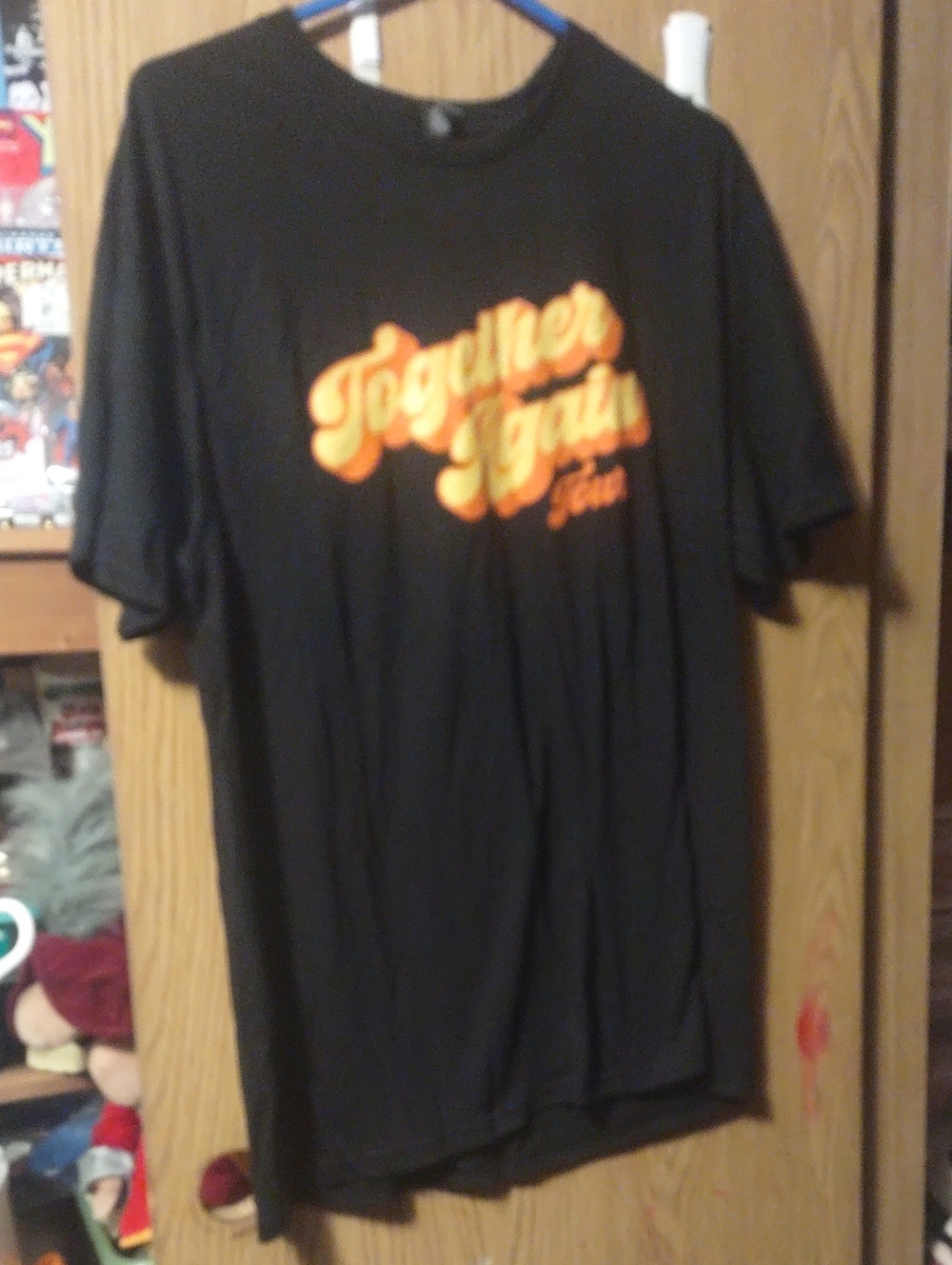 Mercy Me Together Again Tour Concert Tee